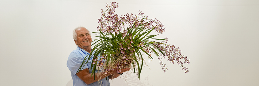 Courtney Hackney Show Table