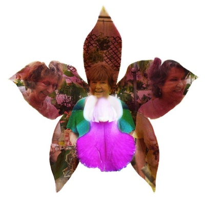 Ace Repotting Clinic