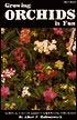 Growing Orchids is Fun:  Simple Facts About Growing Orchids