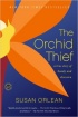 The Orchid Thief