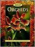How to Grow Orchids