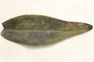 Image 12