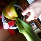 Bought Orchid on Ebay