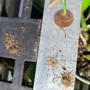 Tiny Castings from Cork Mount