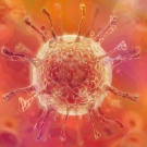 Wuhan Coronavirus