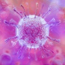 Wuhan Coronavirus