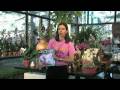 General Orchid Culture Videos